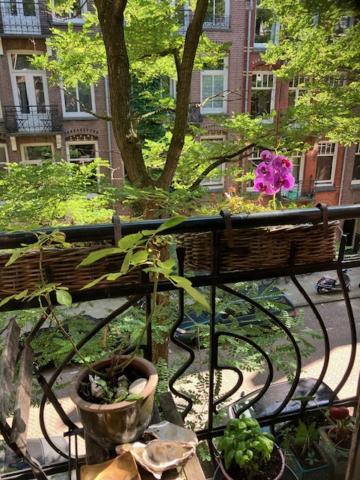 Bed and Breakfast Bohemian Loft Amsterdam Esterno foto